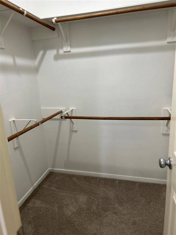 PRIMARY BEDROOM WALK-IN CLOSET