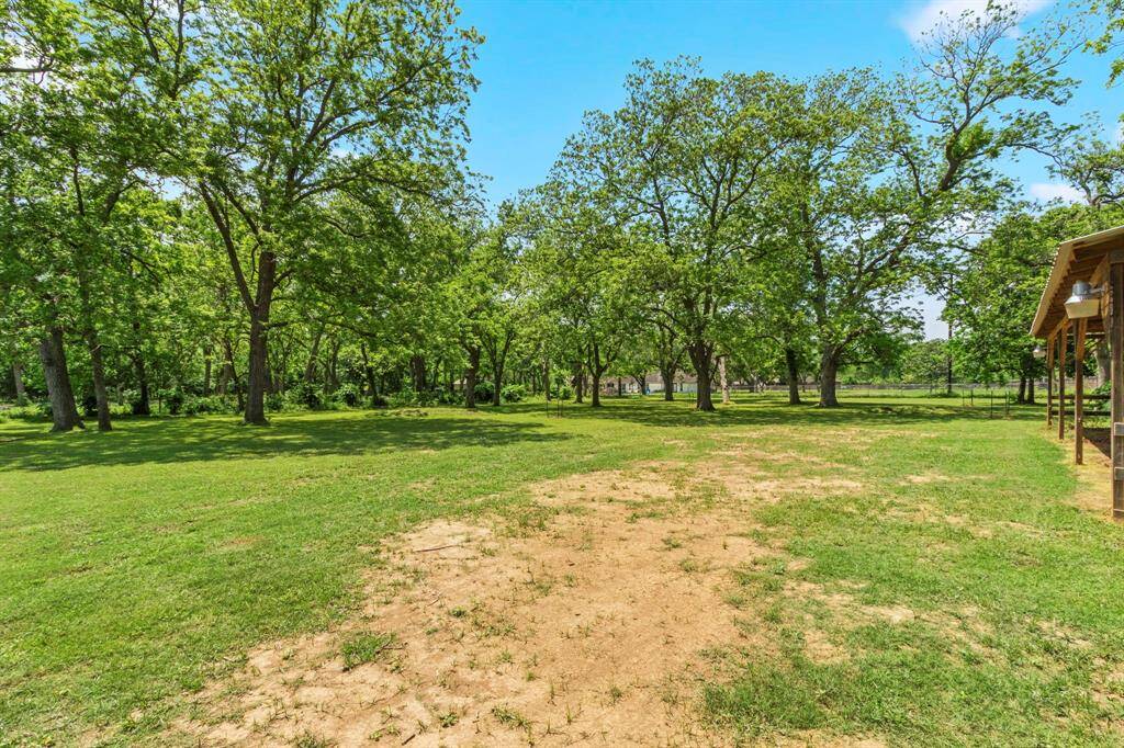 Another view of the back, cross fenced pasture.