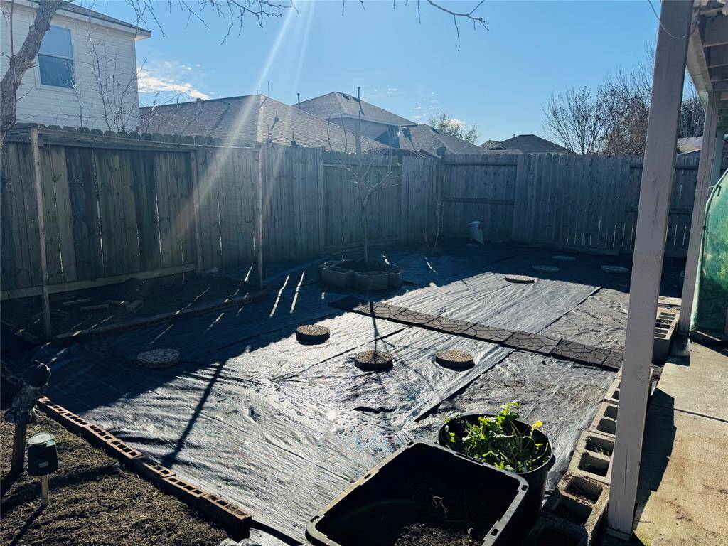 Backyard