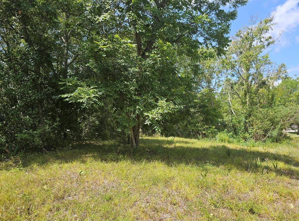 Keep the trees or clear the land. Make this your home or weekend escape from the city.