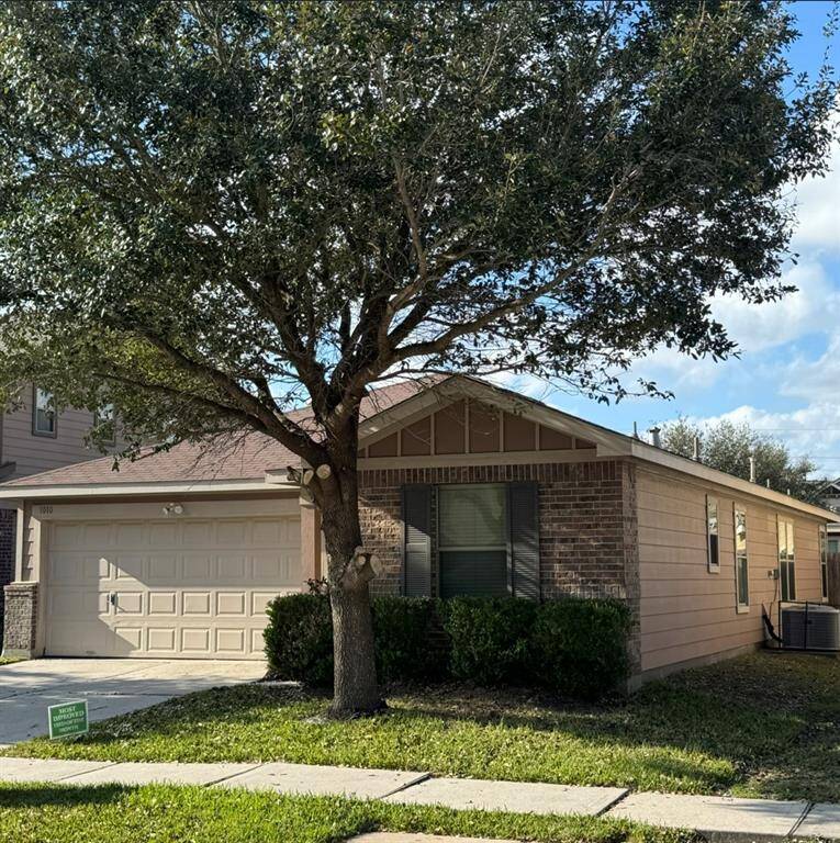 Tree recently trimmed and pruned to show great curb appeal.