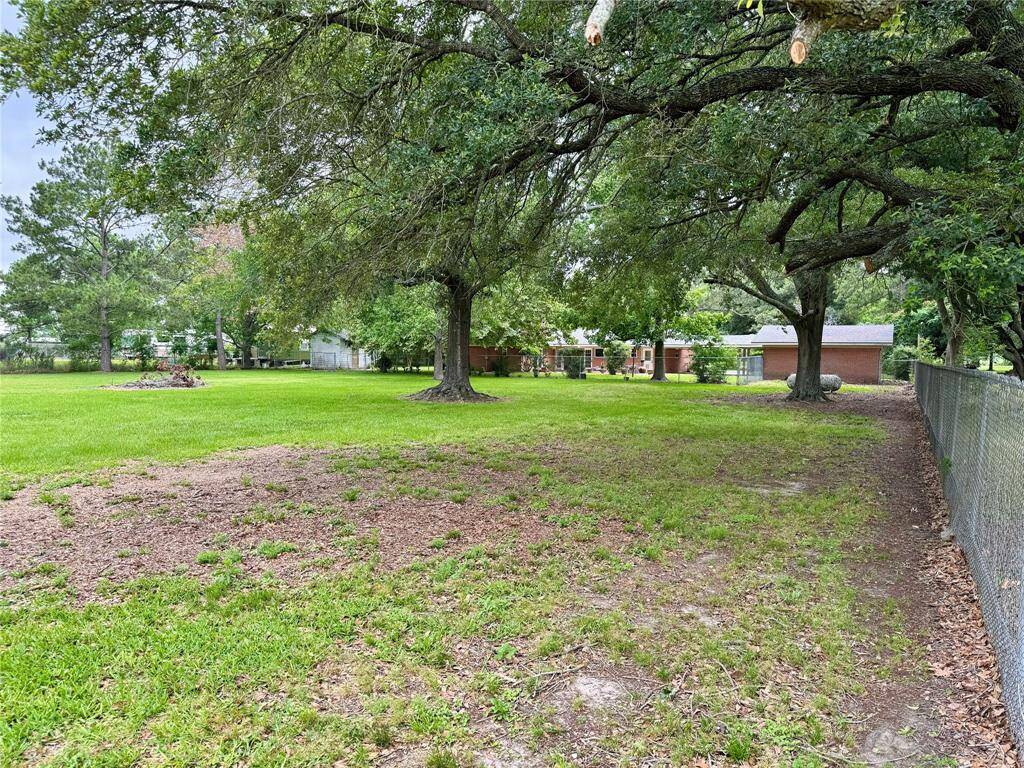 pasture