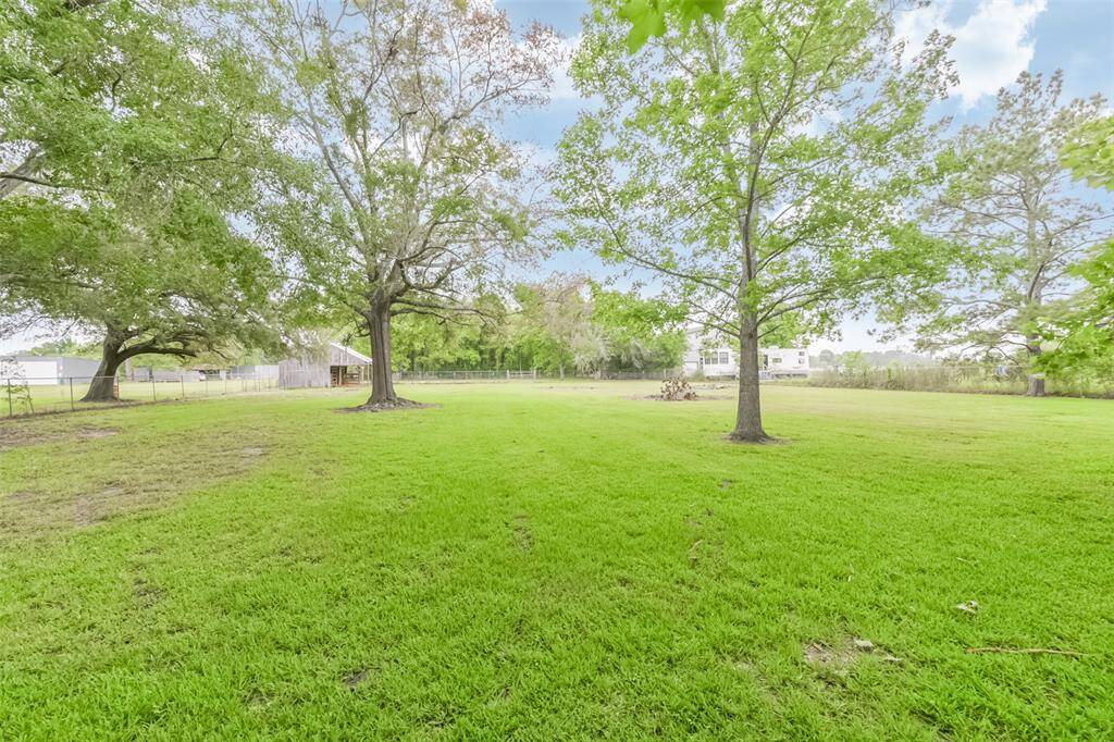 pasture