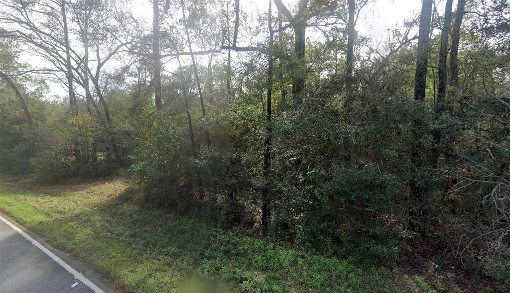 Heavily wooded