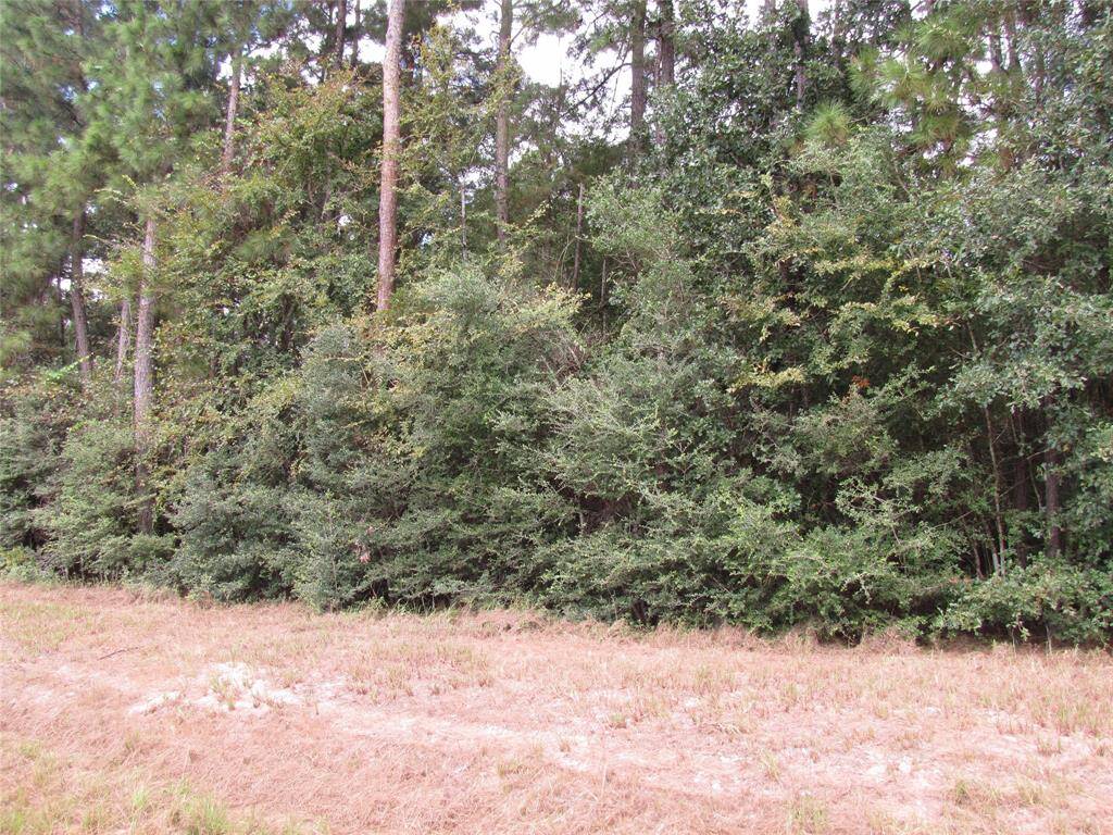 Wonderful 2.5 +/- acres to build that custom home you have waited for!