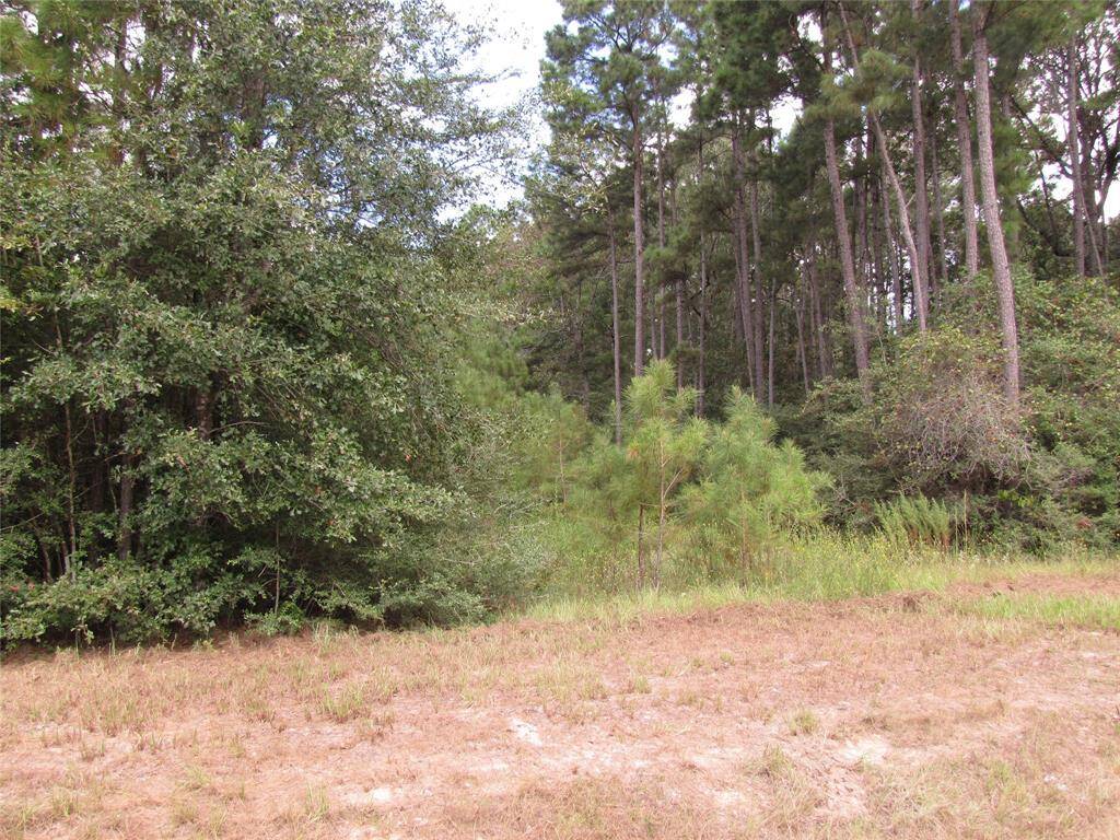 Here is your chance to own acreage of your own!