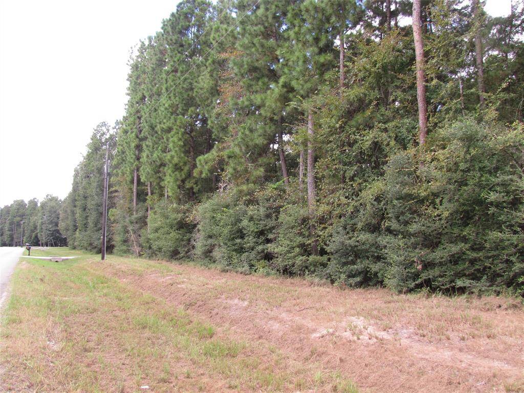 Plenty of room to roam on this acreage!