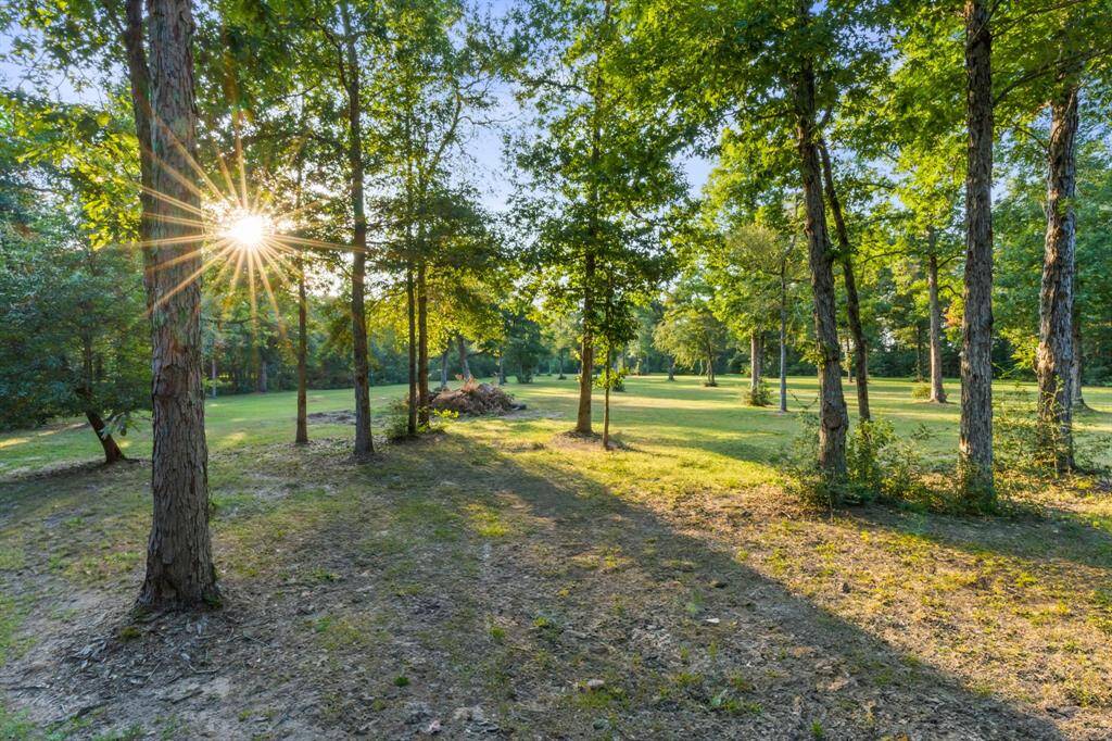 Tall trees provide plenty of shade throughout the property.