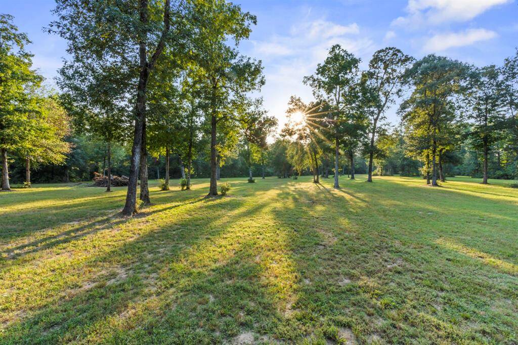 Plenty of open spaces for a new build!