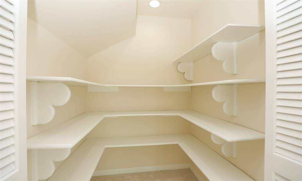 Butler's Pantry or Storage closet