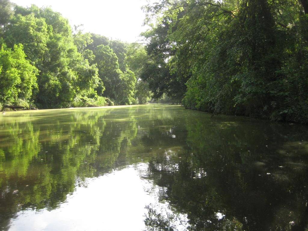 Whites Creek