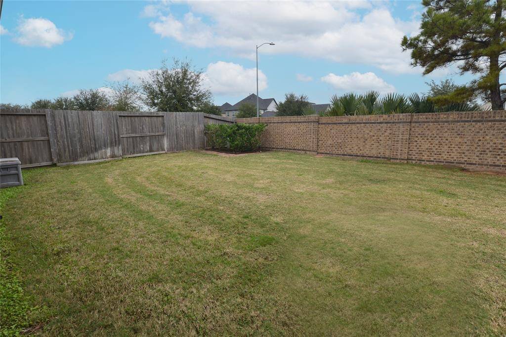 Nice back yard