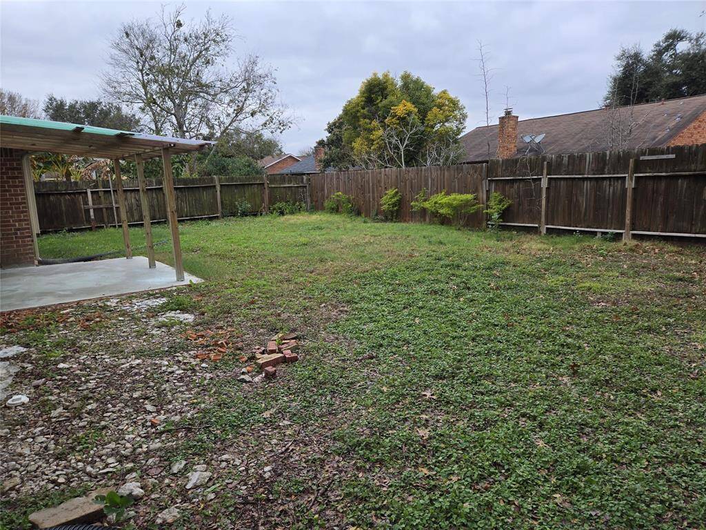 backyard - another view