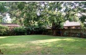 Back yard
