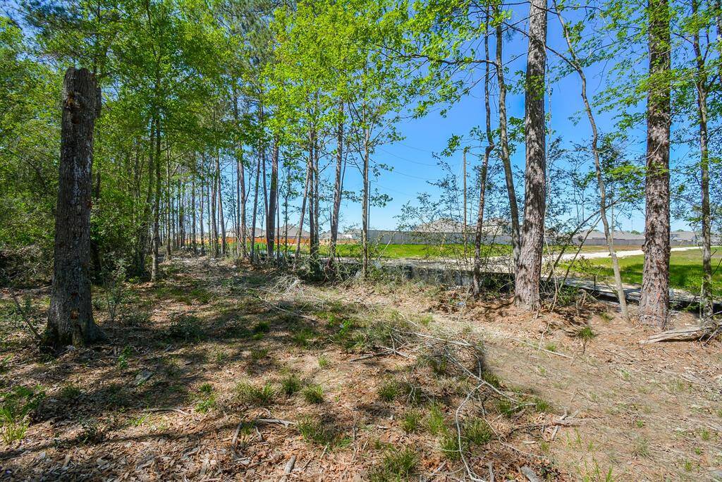 North side of property where Tavola Subdivision stops