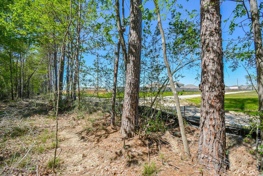 North side of property where Tavola Subdivision stops