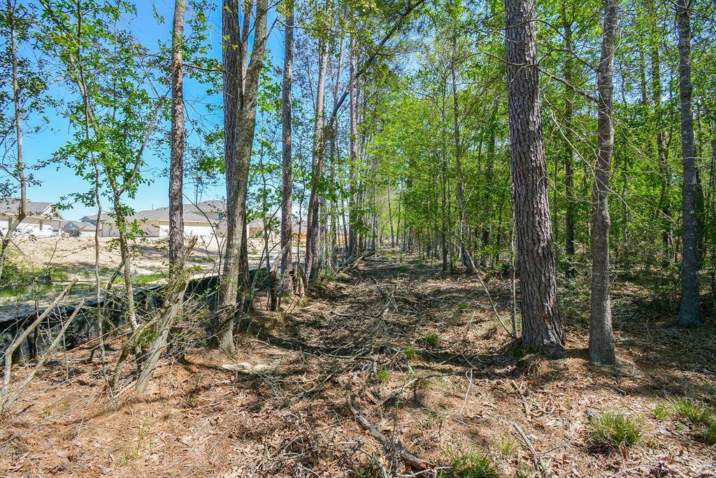 North side of property where Tavola Subdivision stops