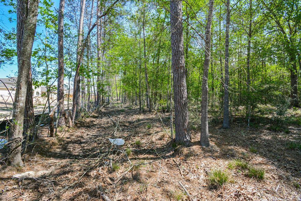 North side of property where Tavola Subdivision stops