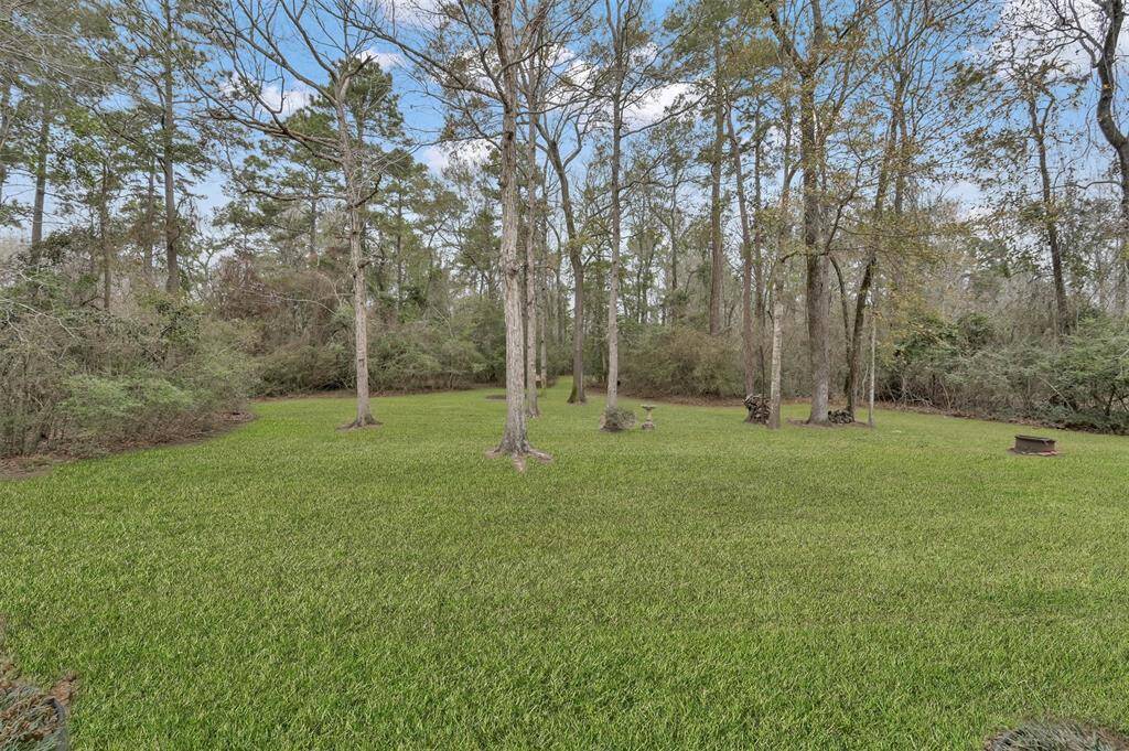 A spacious backyard, rich in nature, offering endless possibilities for your dream landscape.