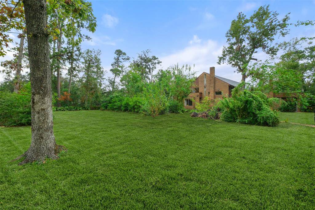 The lot has some lush greenery and could offer great yard space for a new home / homes.