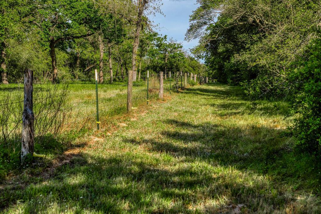 Cleared fence line.