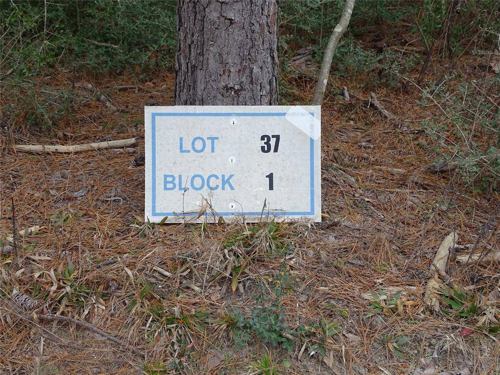 Lot 37 Marker by tree
