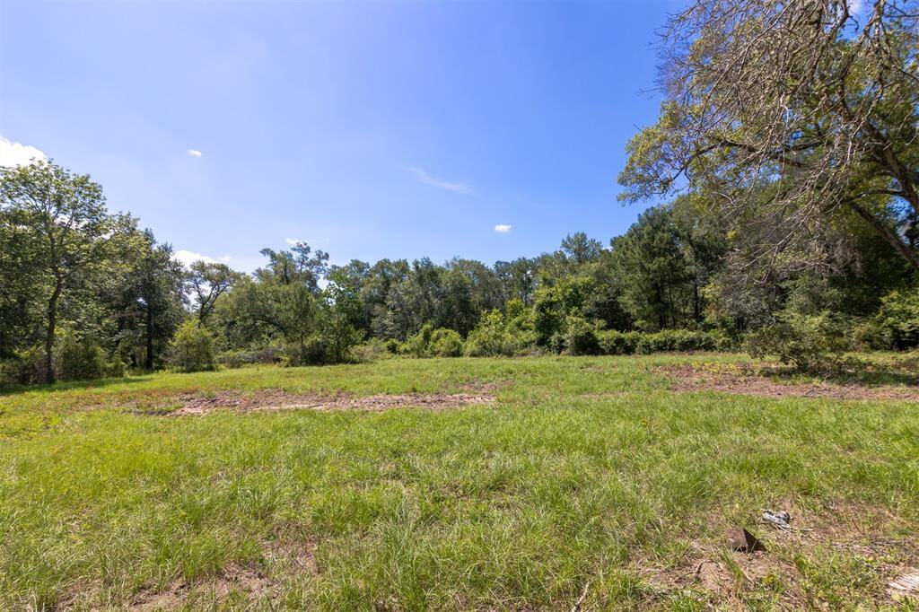Alternate view of part of the 5-acre tract with cleared space.