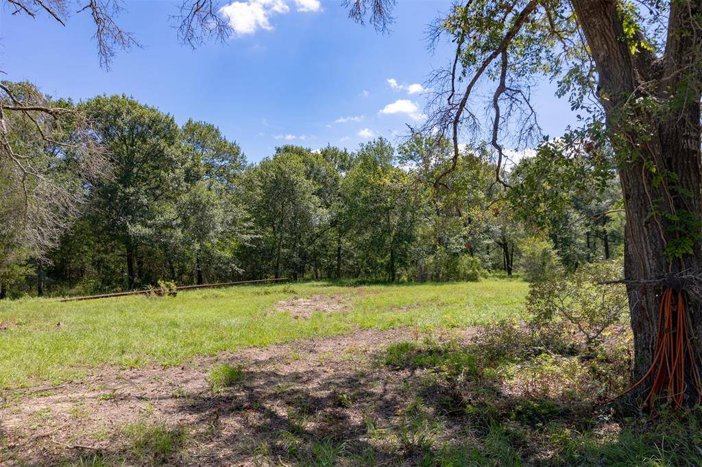 View of the side of the property with wooded area.