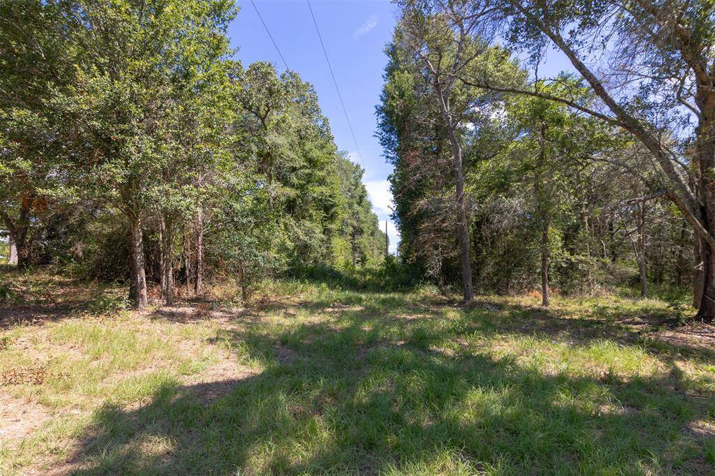 View of the utility easement on the property.