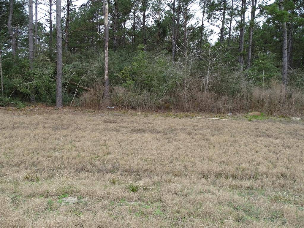 Front of lot