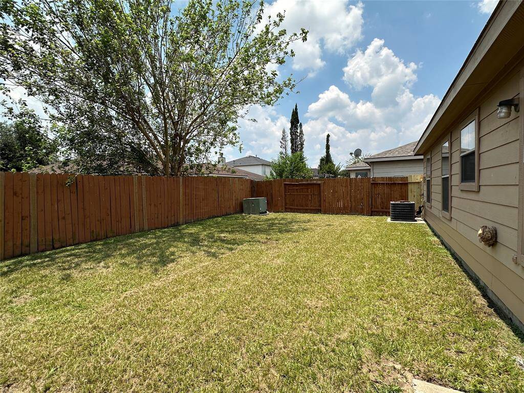 Lovely backyard