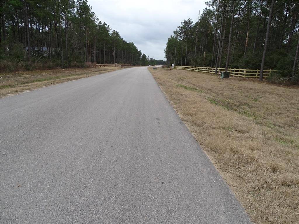 Road view