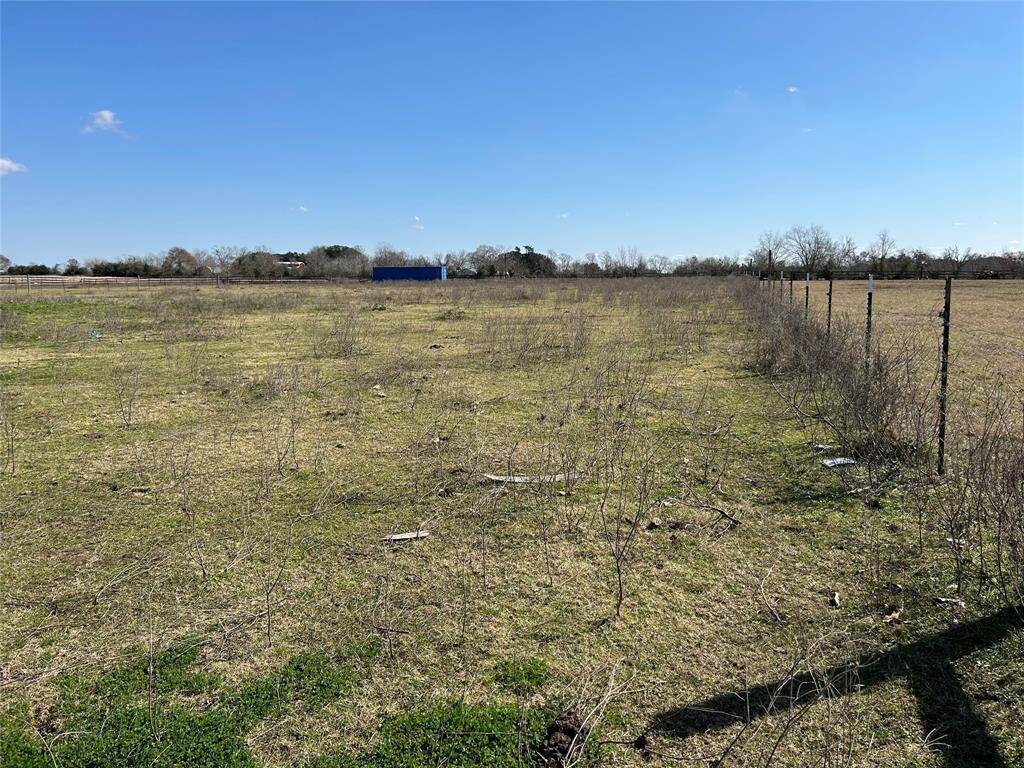 south fence line
