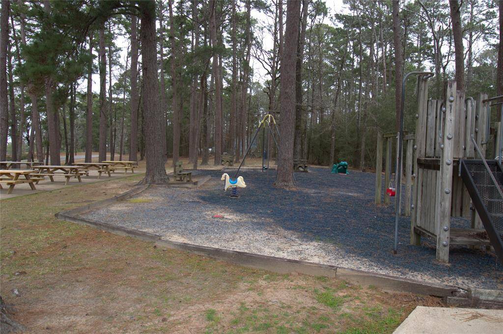 Ideal family play area nestled among tall trees, featuring a playground and picnic tables for perfect outdoor fun.