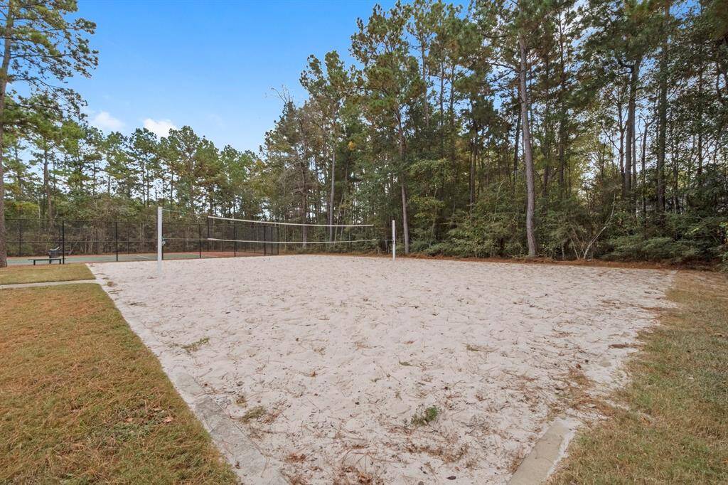 Volleyball court
