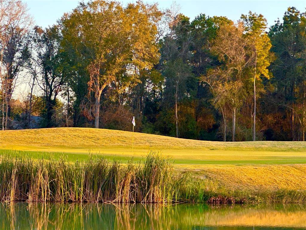 Beautiful Views in your Community!
