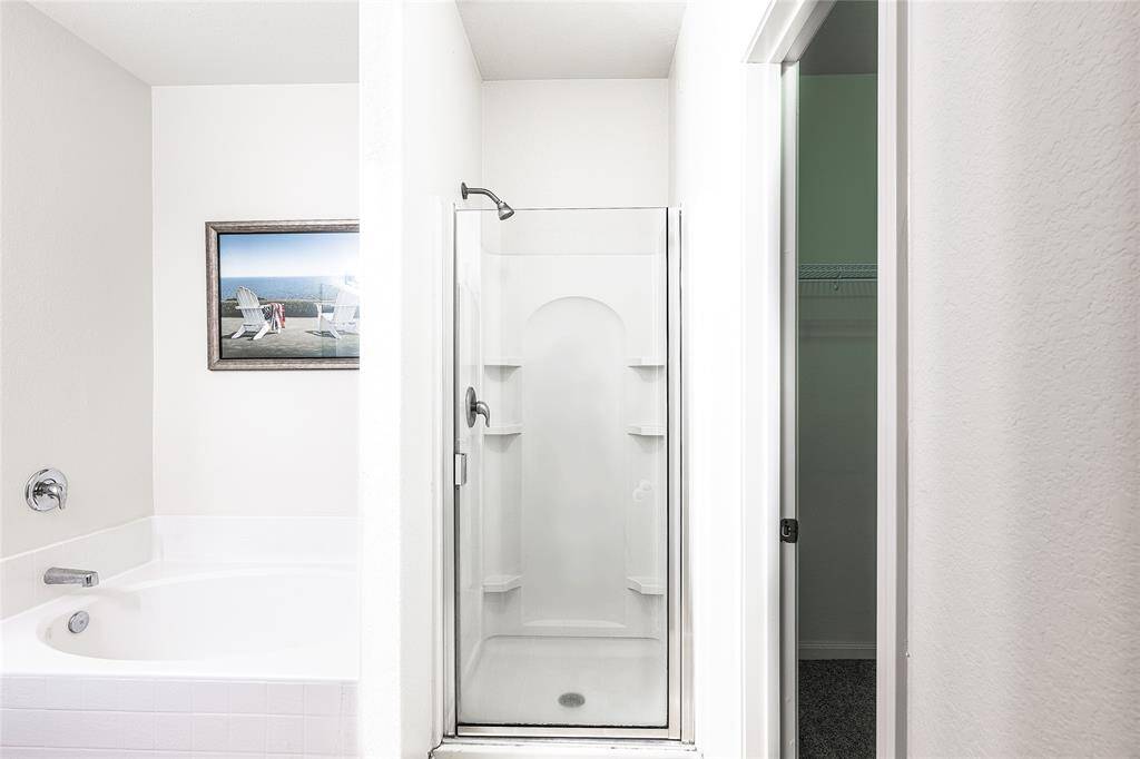 Main Bath shower and Tub