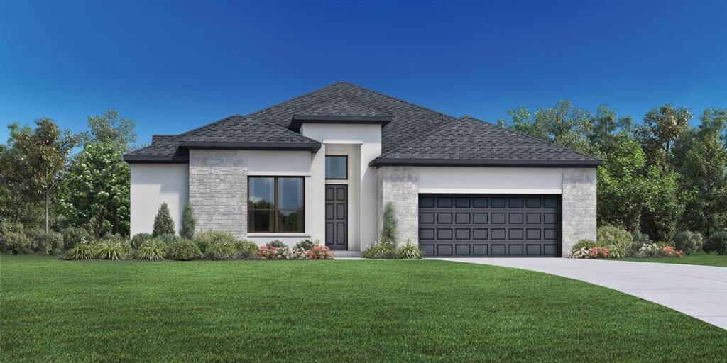 Elevation Image