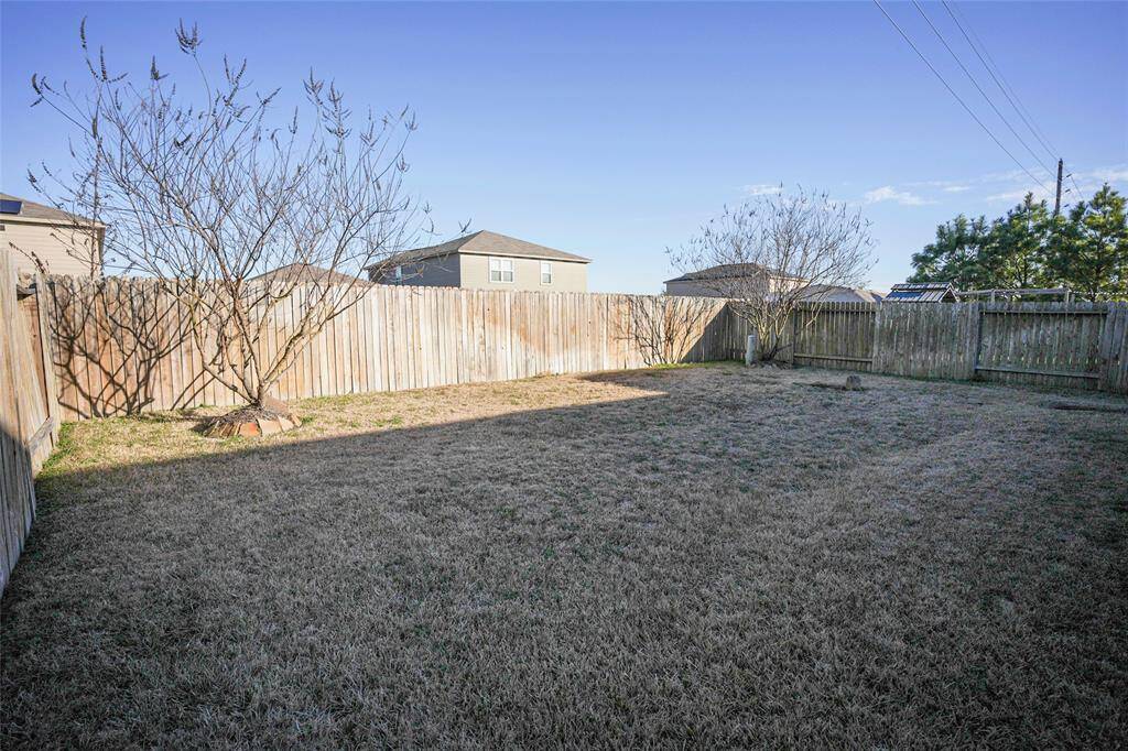 Rear Yard