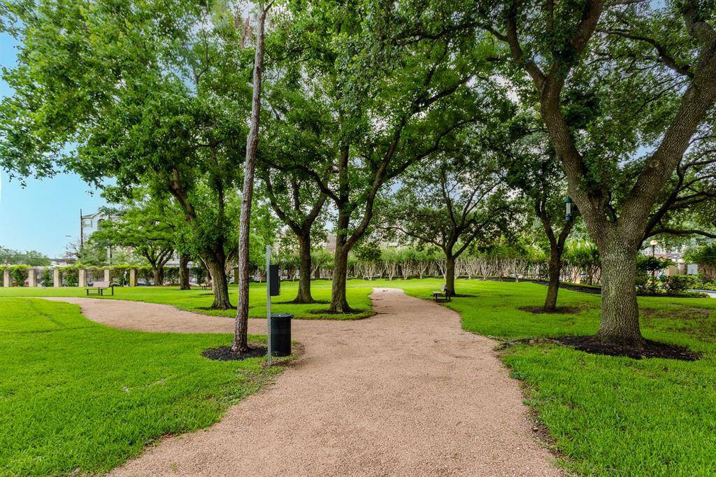 Dog Park