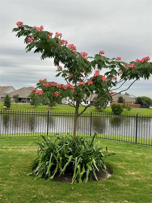 Beautiful blooms in the spring/summer