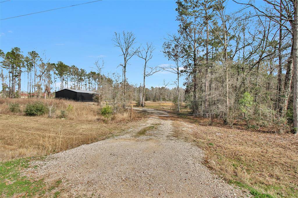 Driveway