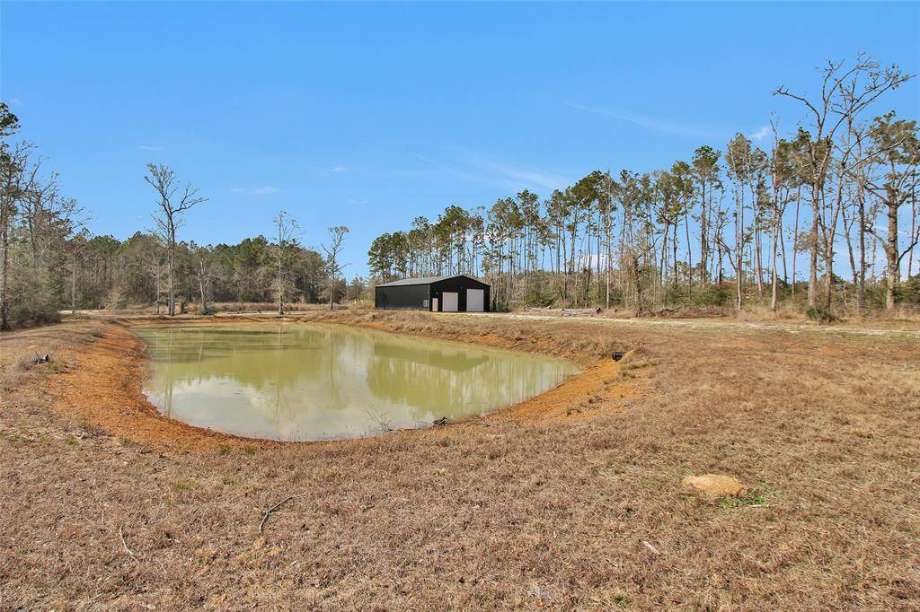 Pond