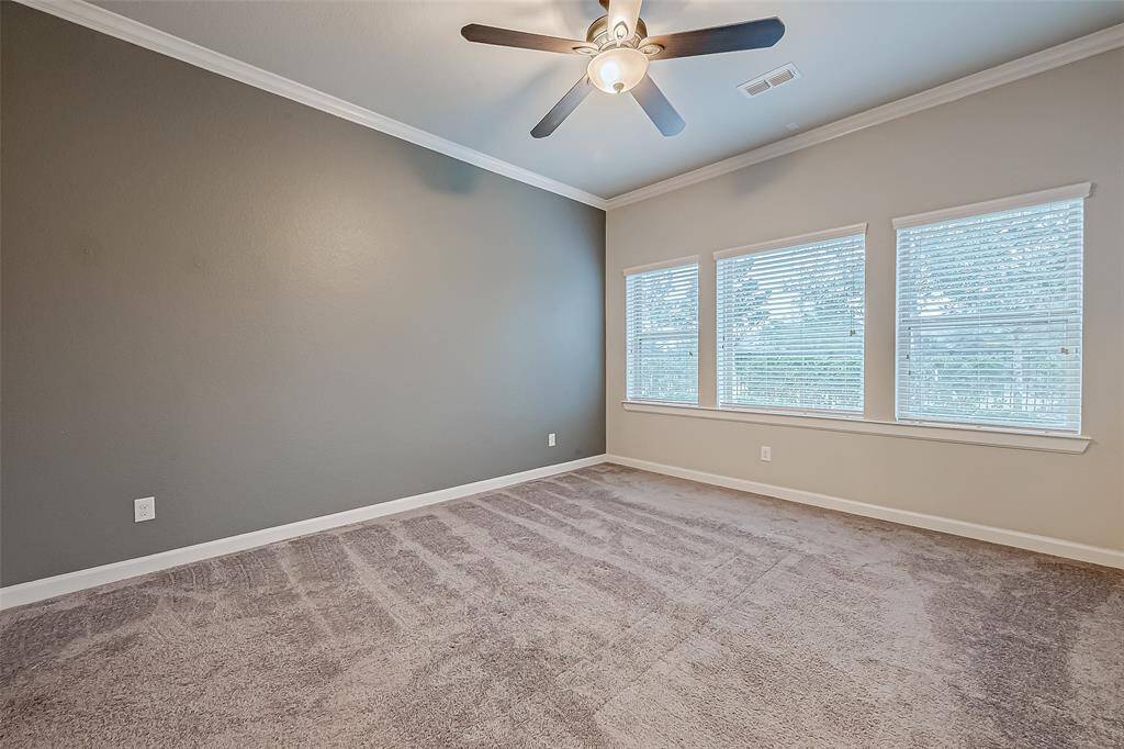 Primary suit with accent wall.