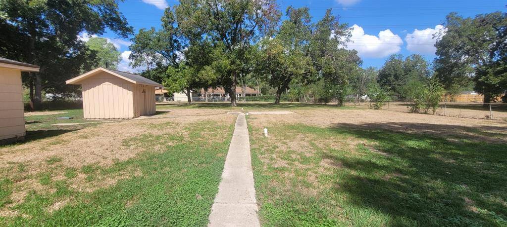 Back yard