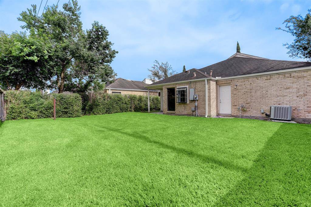 Big backyard