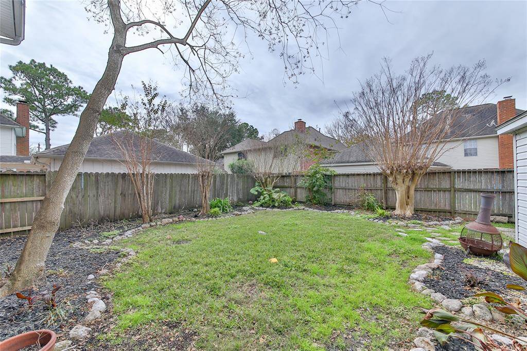 Back yard