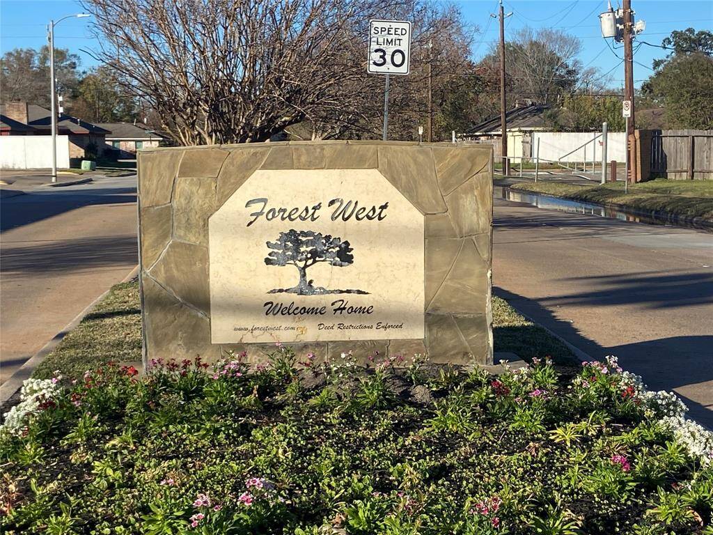 Forest West - Welcome Home