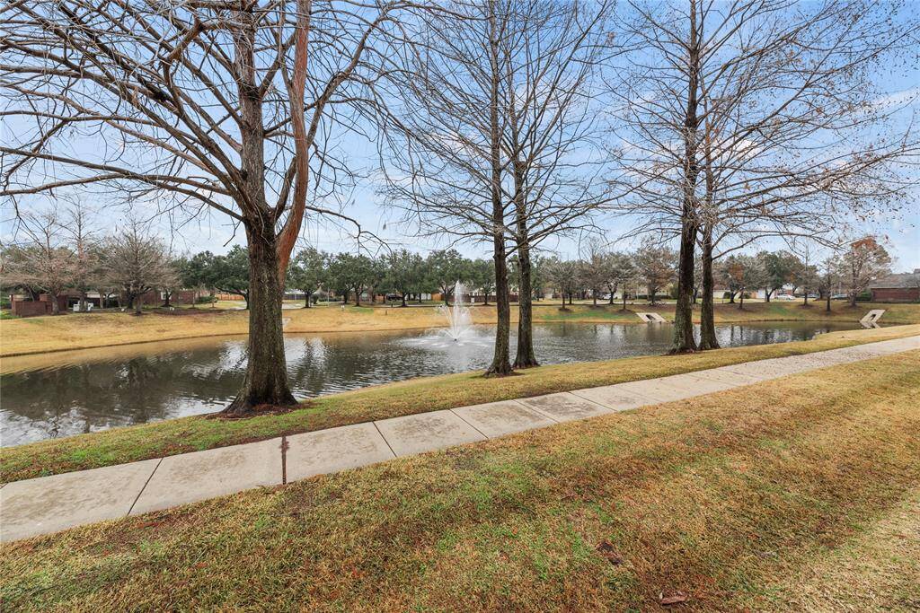 Lake view