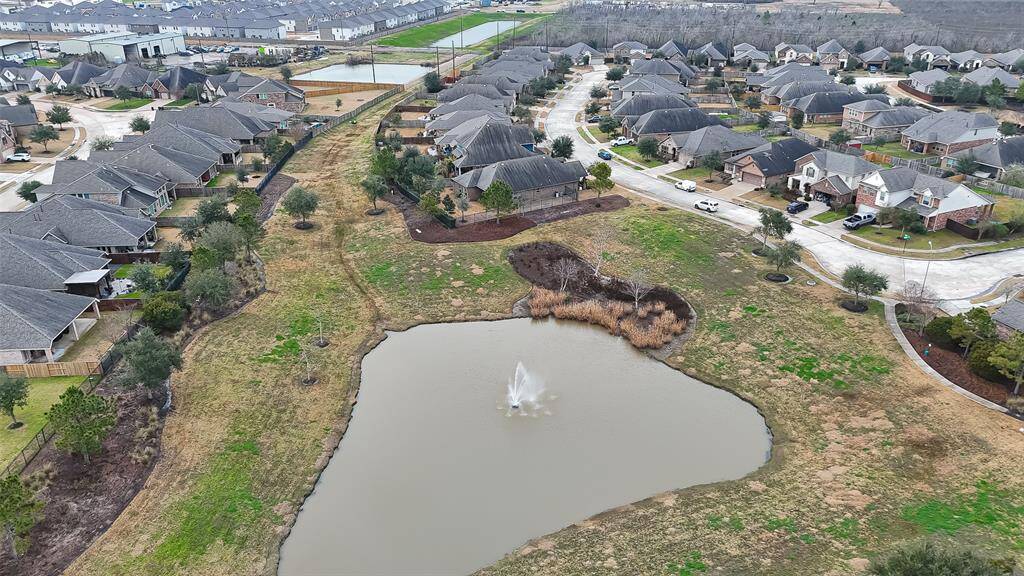 View of the pond.